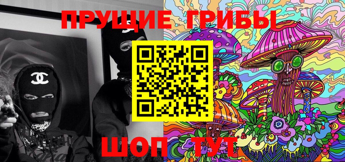 Псилоцибиновые грибы прущие грибы Дмитров