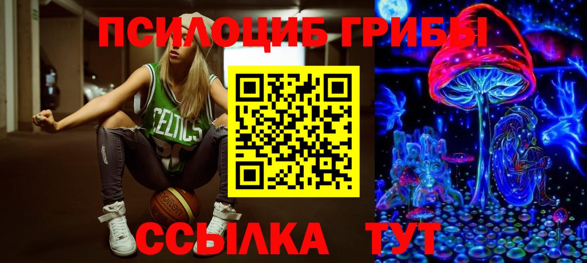 Галлюциногенные грибы MAGIC MUSHROOMS  Вход с VPN  Дмитров 